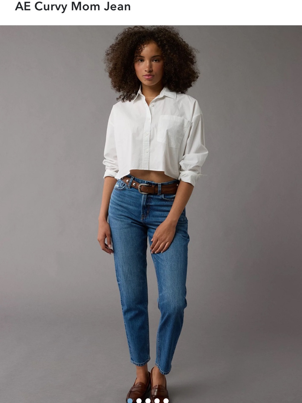 American Eagle Outfitters Strigid Distressed Denim Curvy Mom Jean in Blue Wash